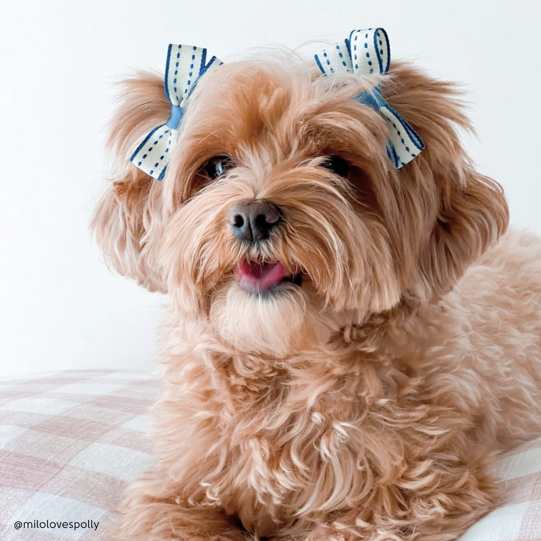 Pigtail Small Blue Ribbon Hair Bow Set (2)
