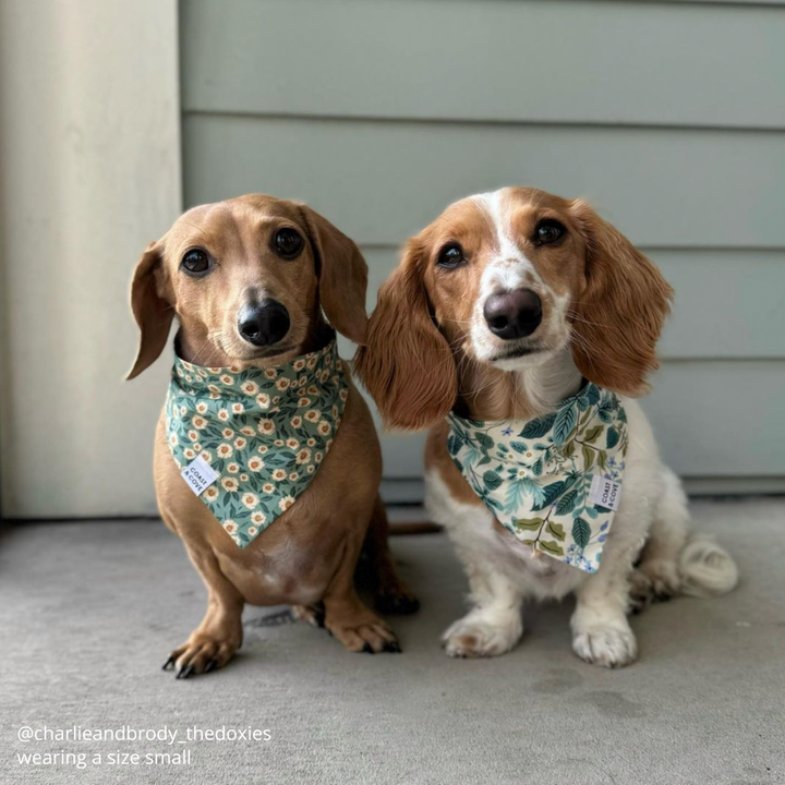 Vintage Garden in Cream Bandana
