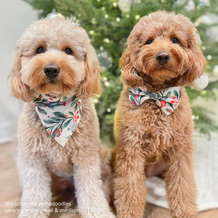 Under the Mistletoe Bow Tie