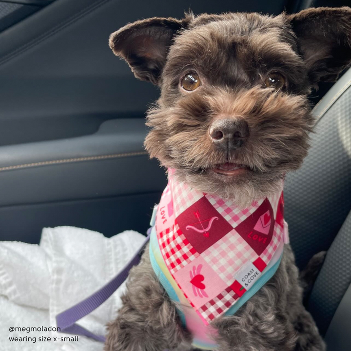 Sweetheart Patchwork Bandana