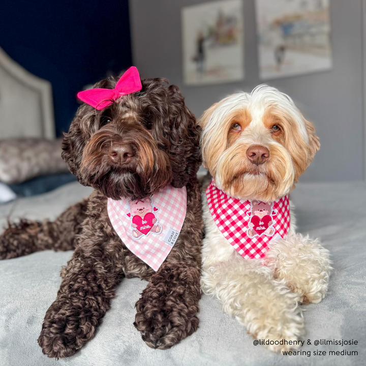Be Mine Bear Bandana