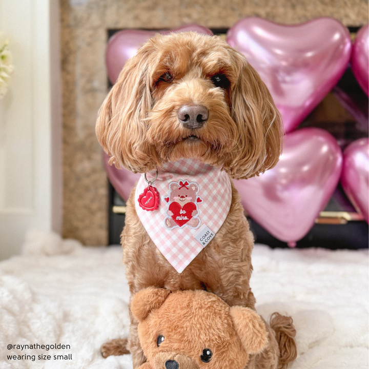 Be Mine Bear Bandana