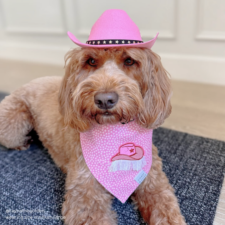 Cowboy Hat for Dogs