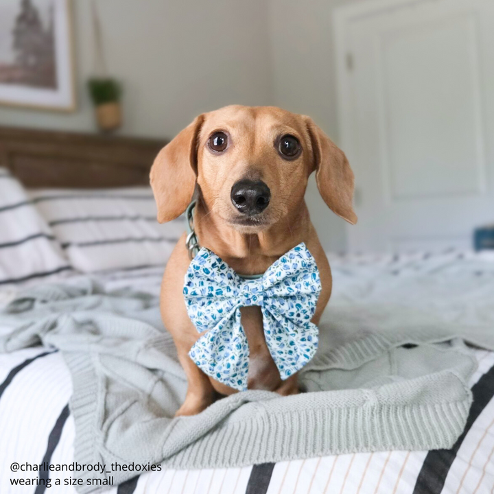 Blooming Buds Sailor Bow