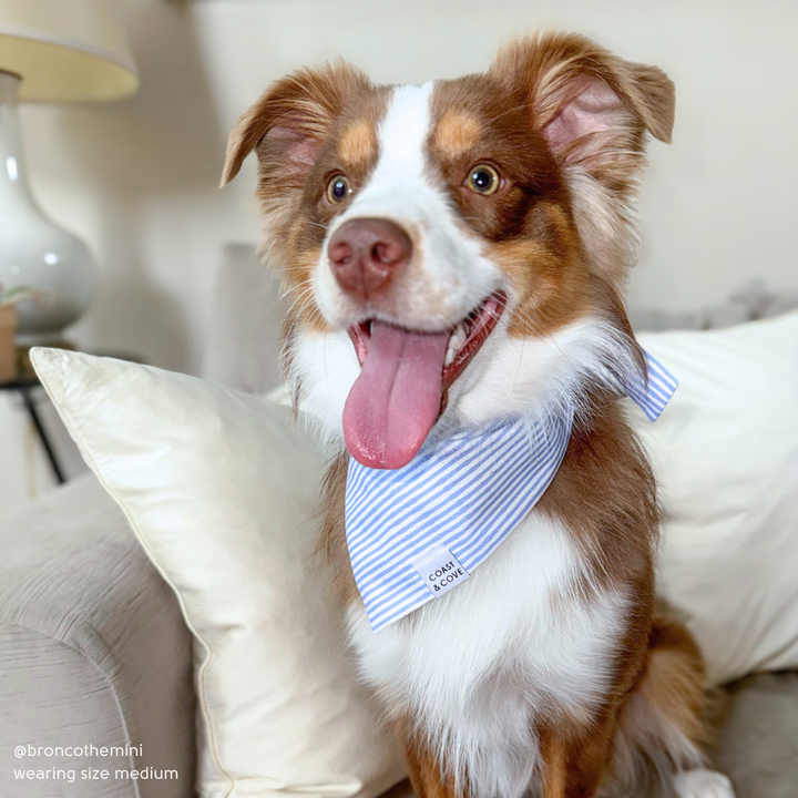 Blue Seersucker Bandana