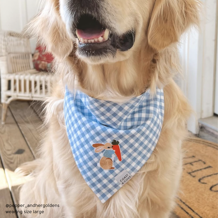 Cottontail Bandana