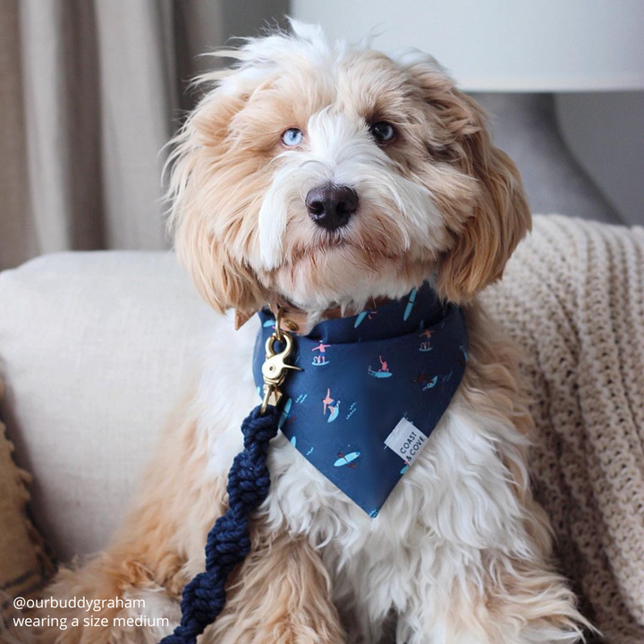 Surfs Up in Navy Bandana