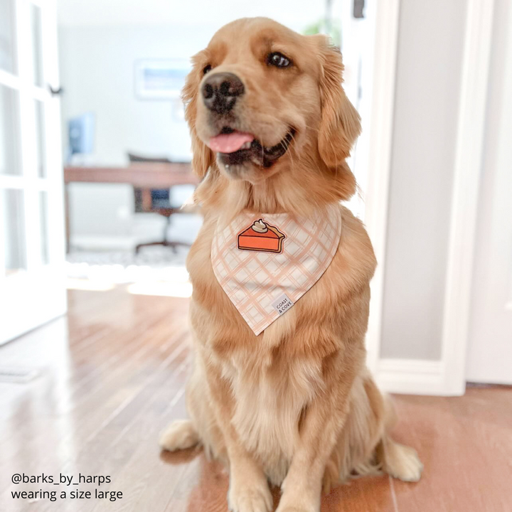 Pass the Pie Bandana