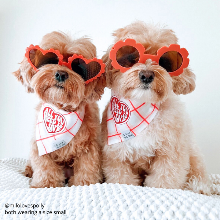 All You Need is Love Bandana