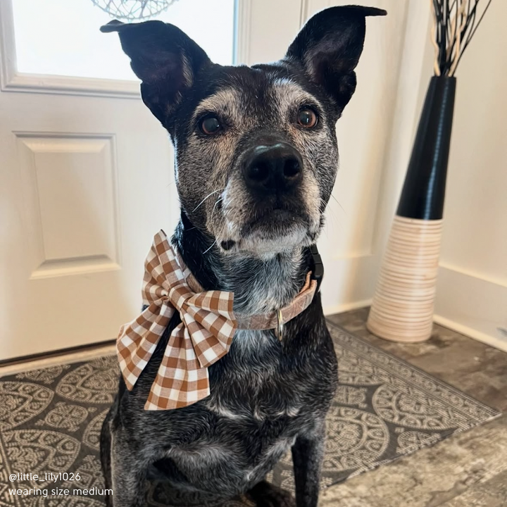 Pumpkin Gingham Sailor Bow