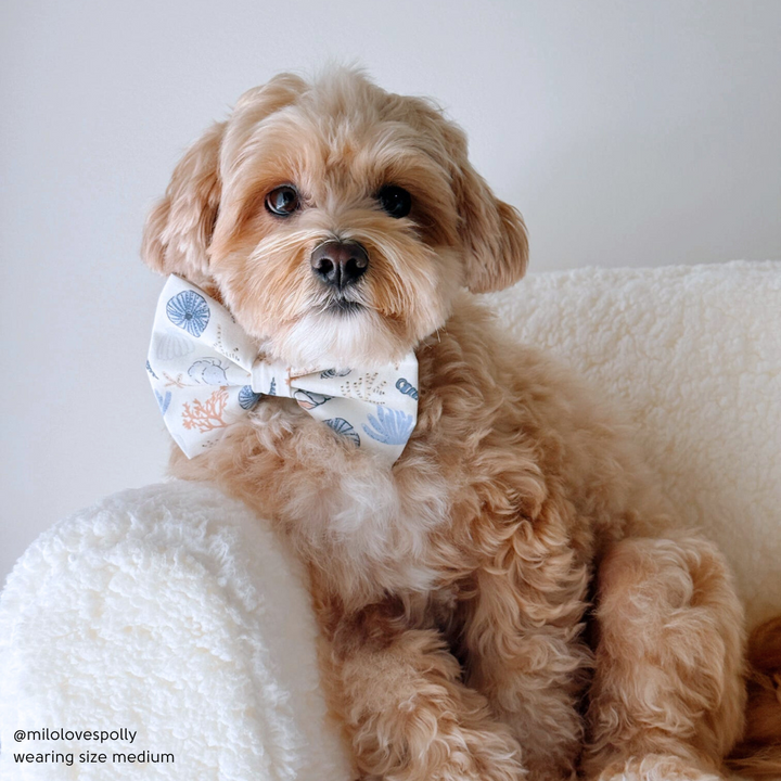 High Tide Bow Tie