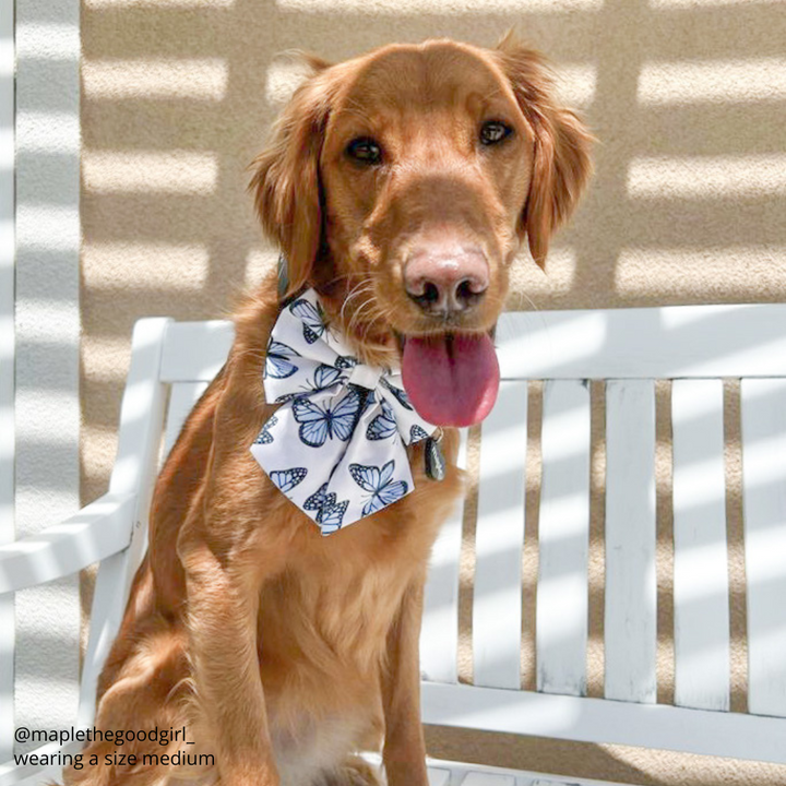 Wild & Free Sailor Bow