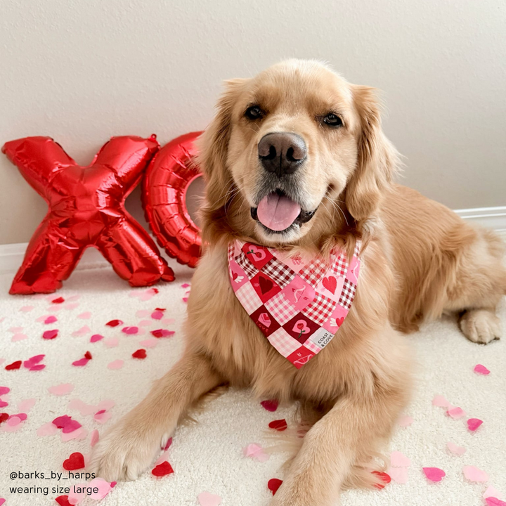 Sweetheart Patchwork Bandana
