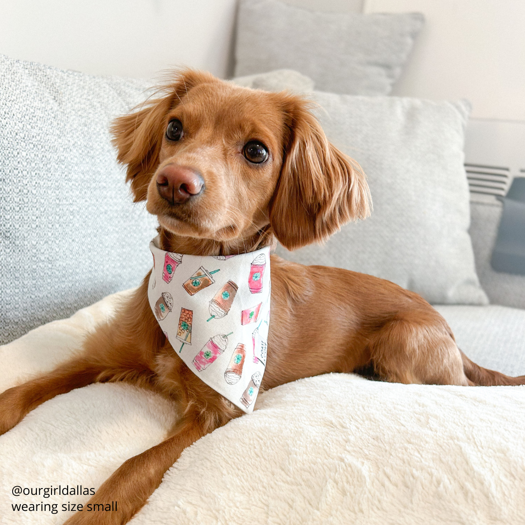 Cute Coffees Bandana