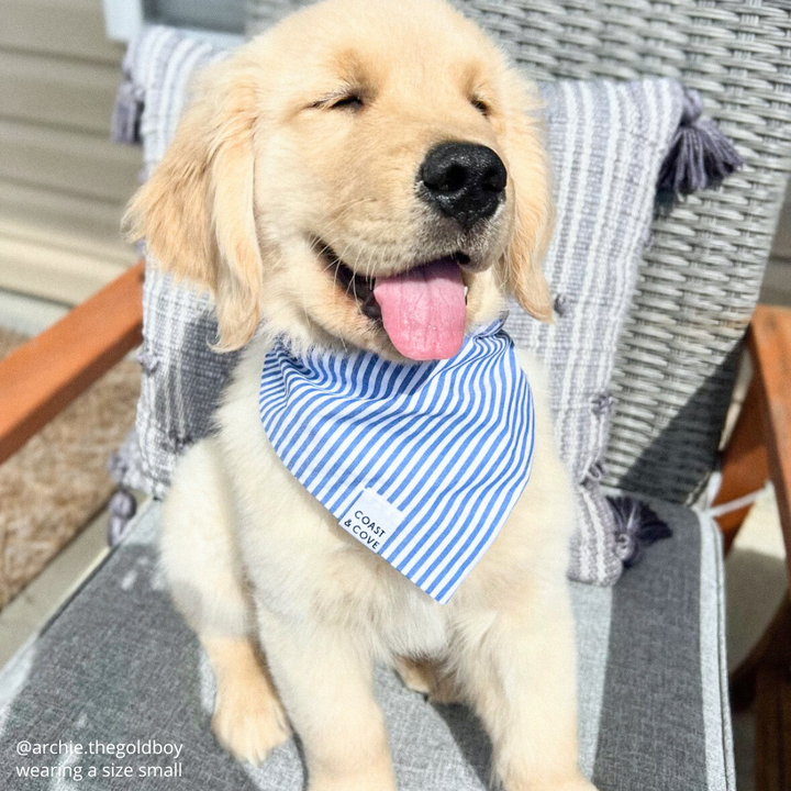Blue Seersucker Bandana
