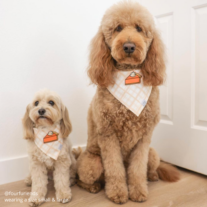 Pass the Pie Bandana