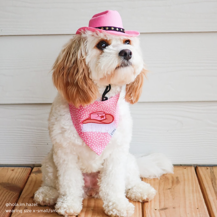 Cowboy Hat for Dogs