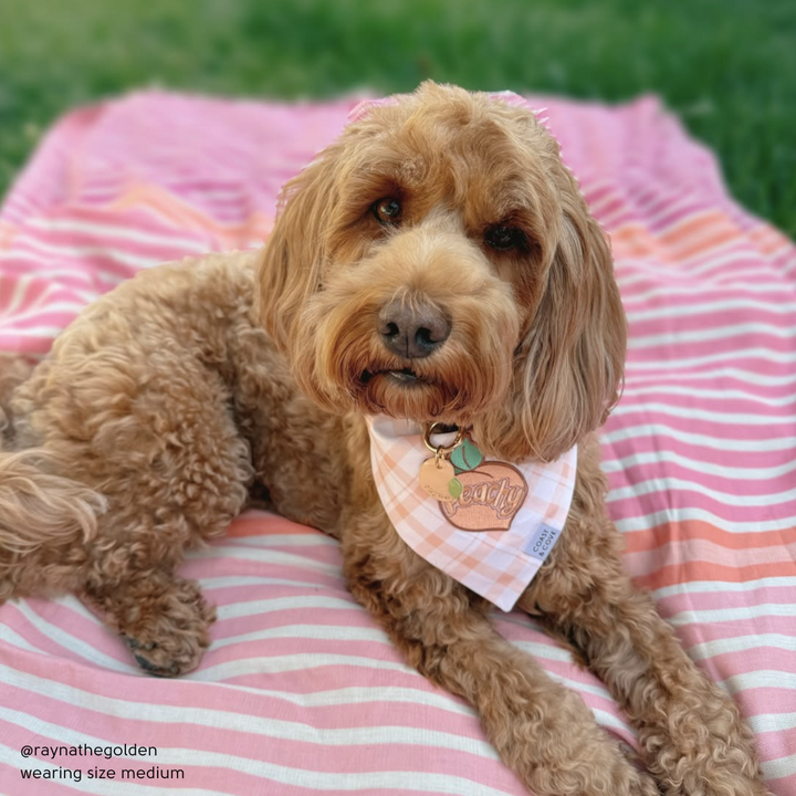 Just Peachy Bandana