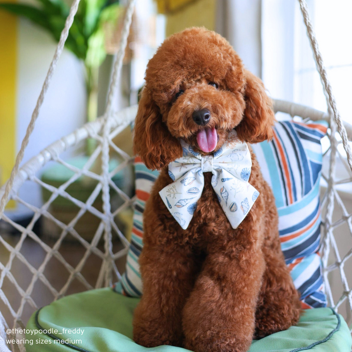 High Tide Sailor Bow