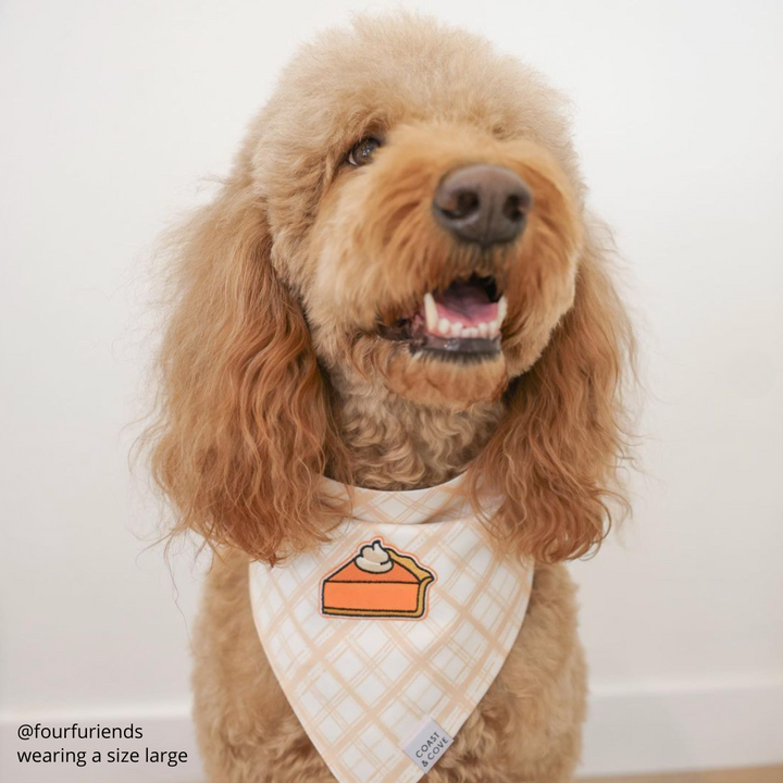 Pass the Pie Bandana