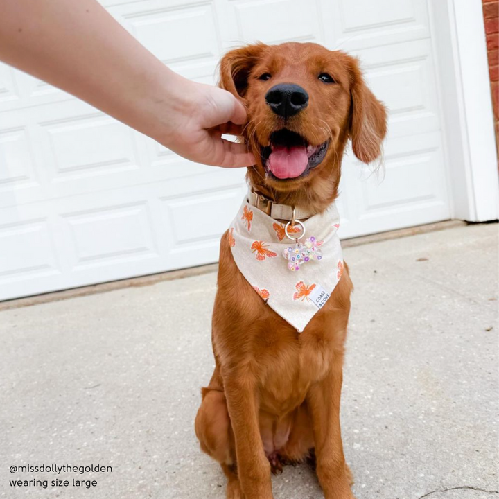Butterfly Daydream Bandana