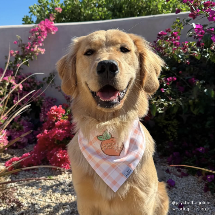 Just Peachy Bandana