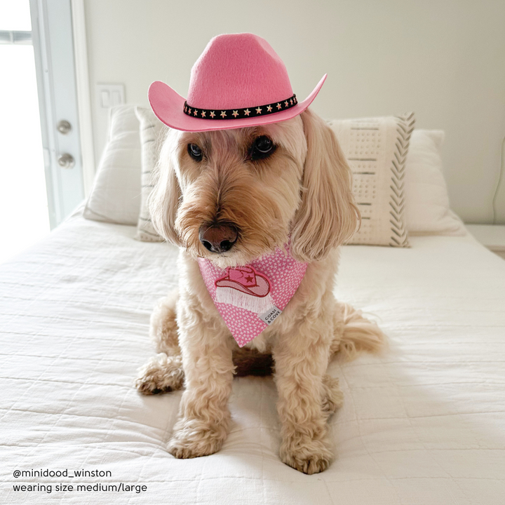 Cowboy Hat for Dogs