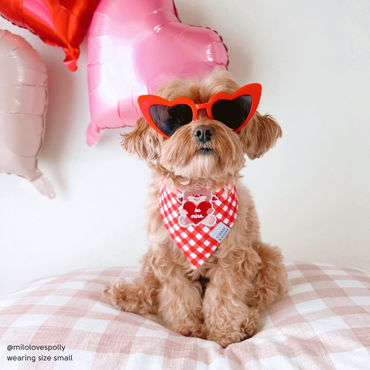 Be Mine Bear Bandana