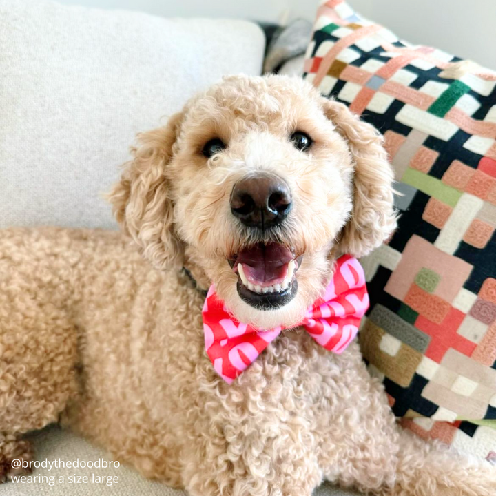Hugs & Kisses Bow Tie