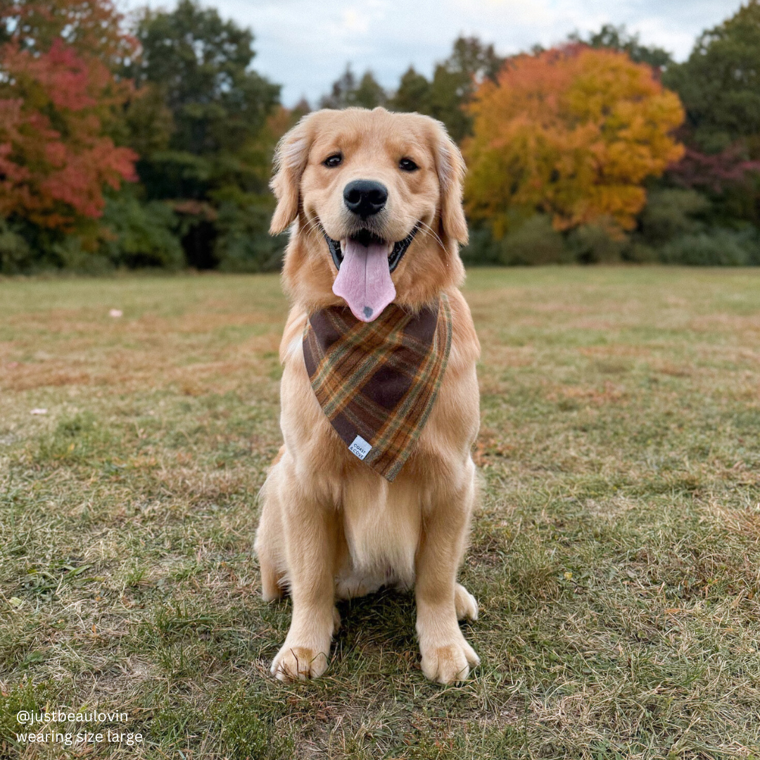 Chestnut Plaid Flannel Bandana