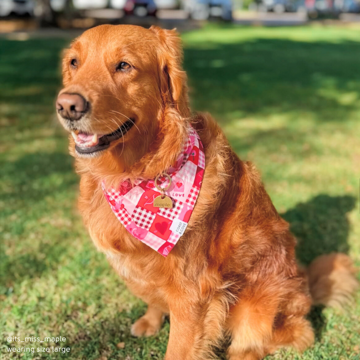 Sweetheart Patchwork Bandana