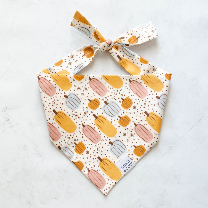 Autumn Harvest Bandana