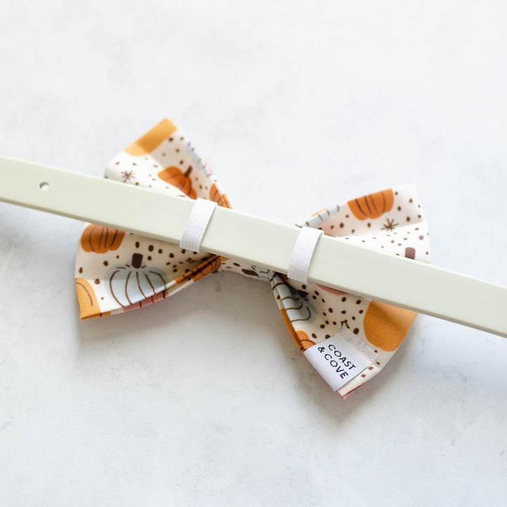 Autumn Harvest Bow Tie