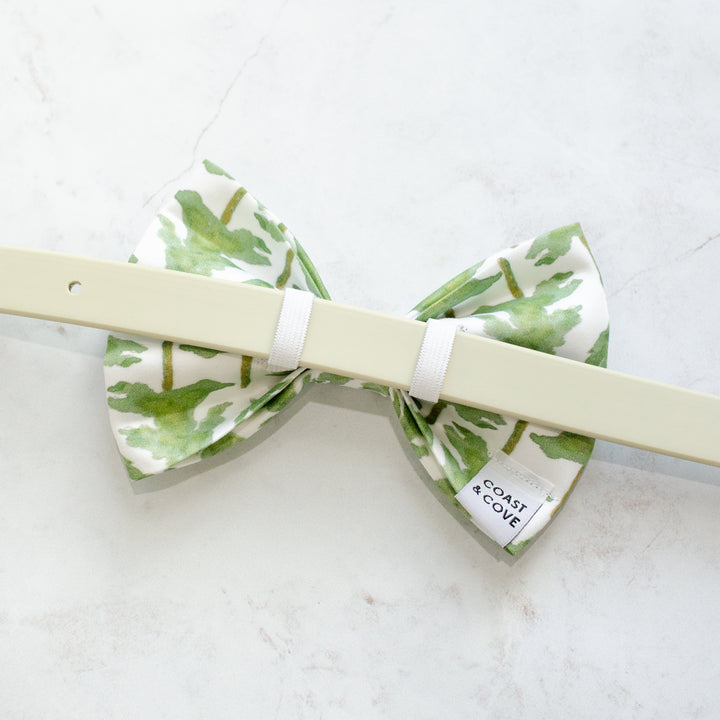 Balsam Fir Bow Tie