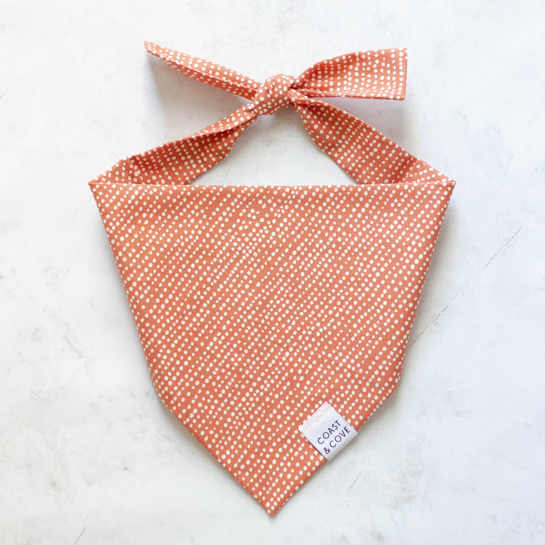 Cinnamon Spice Bandana