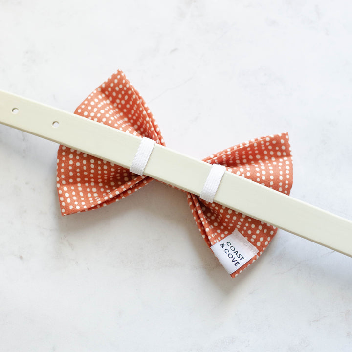 Cinnamon Spice Bow Tie