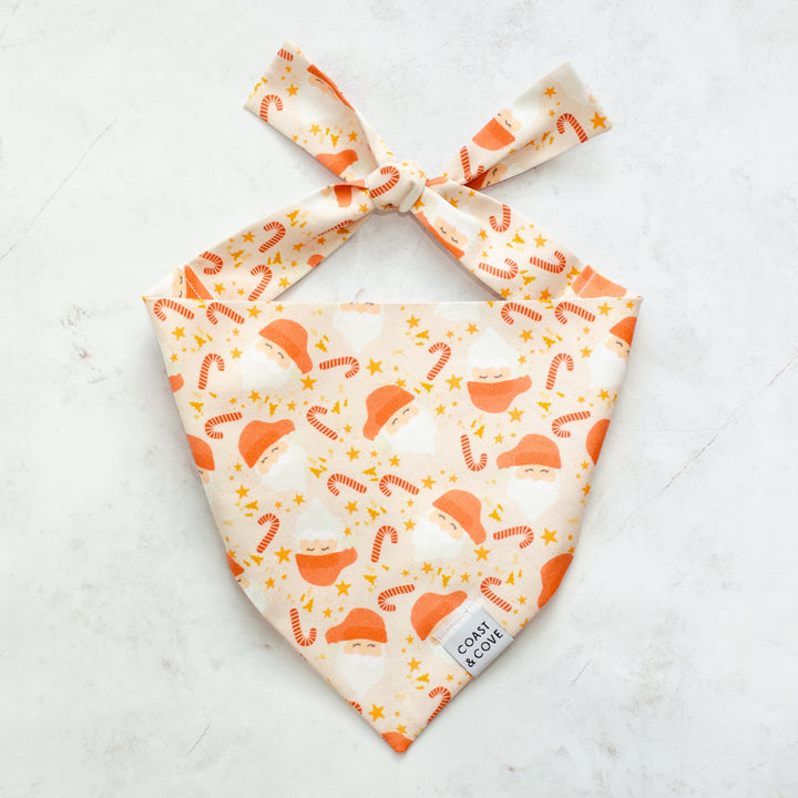 Dear Santa Bandana