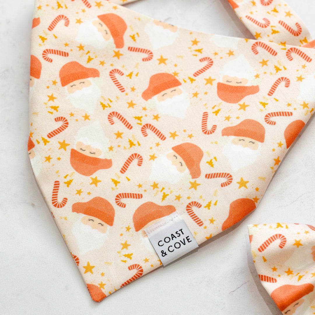 Dear Santa Bandana