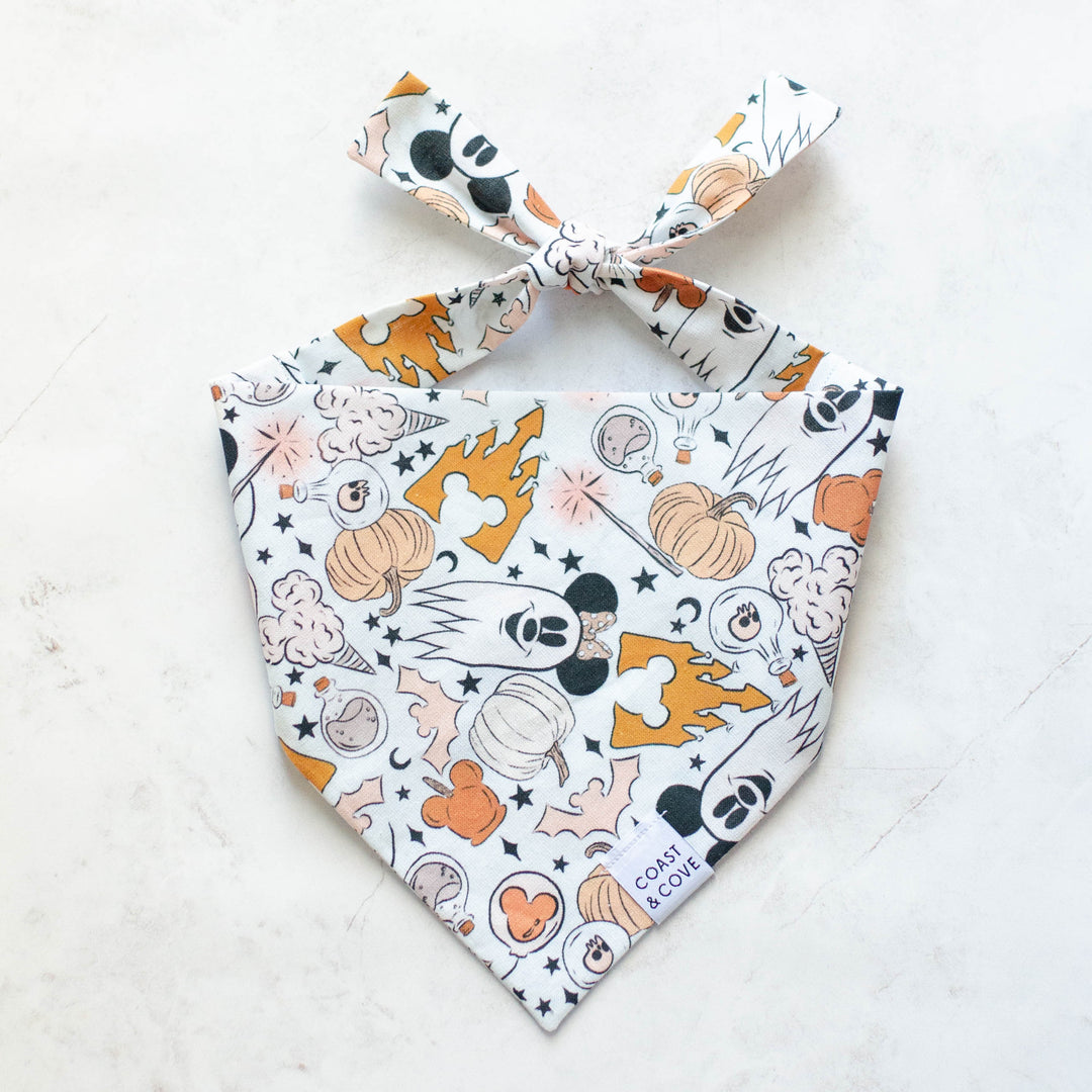 Fall Magic Bandana