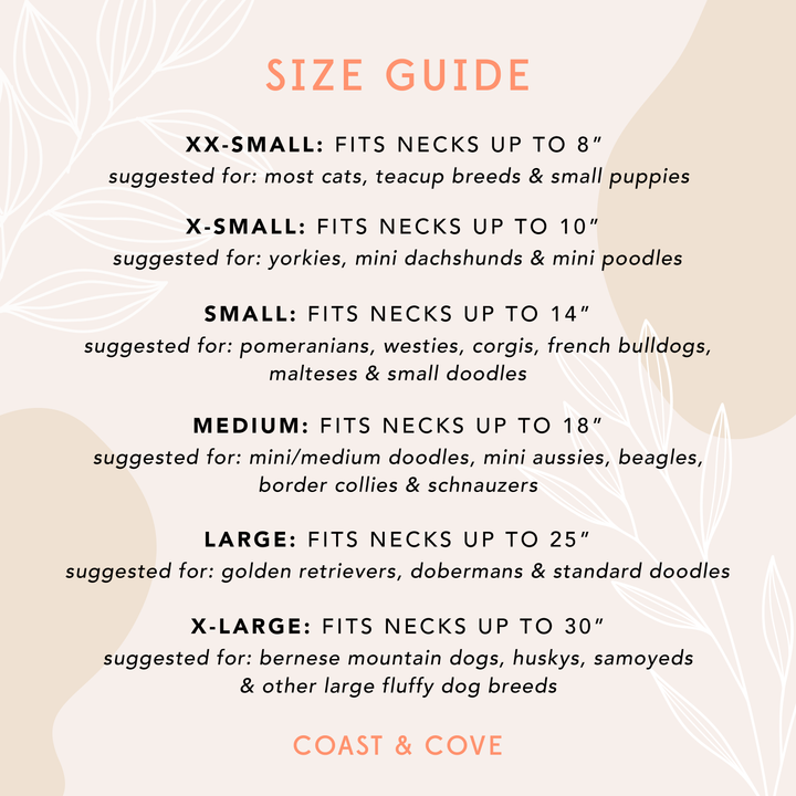 Autumn Harvest Bandana