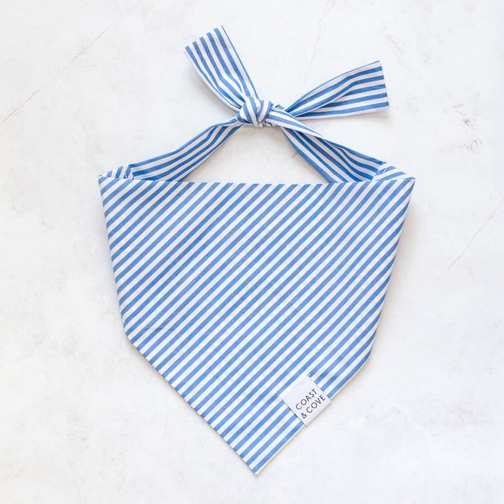 Blue Seersucker Bandana