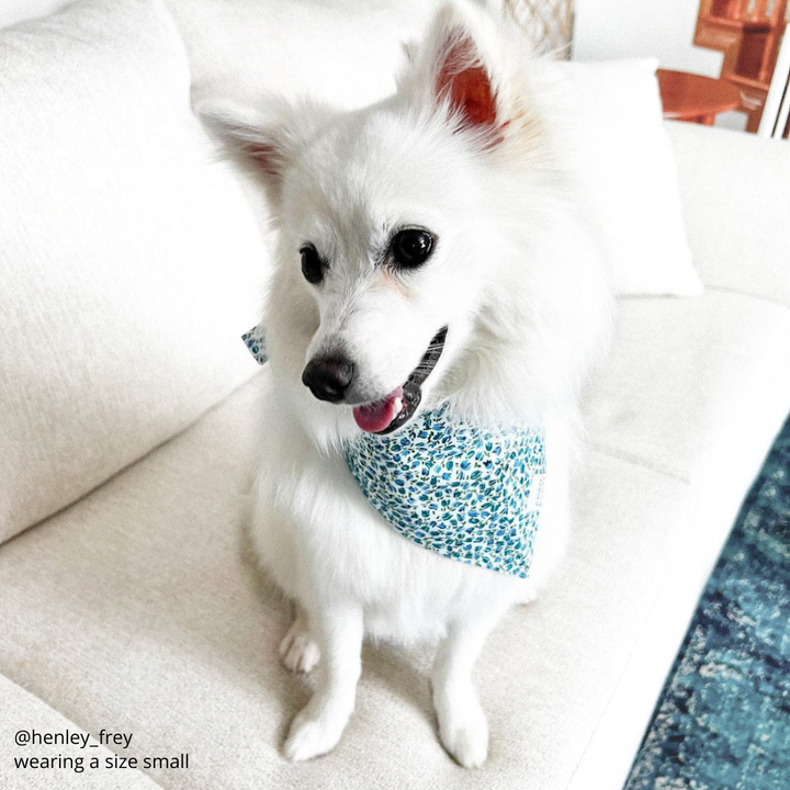 Blooming Buds Bandana