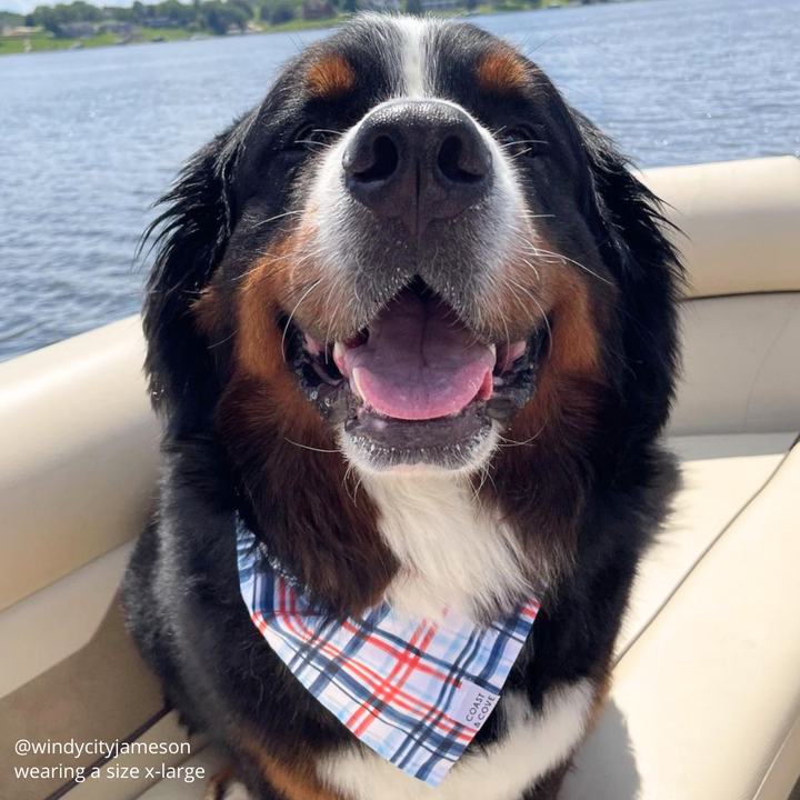 Patriotic Plaid Bandana