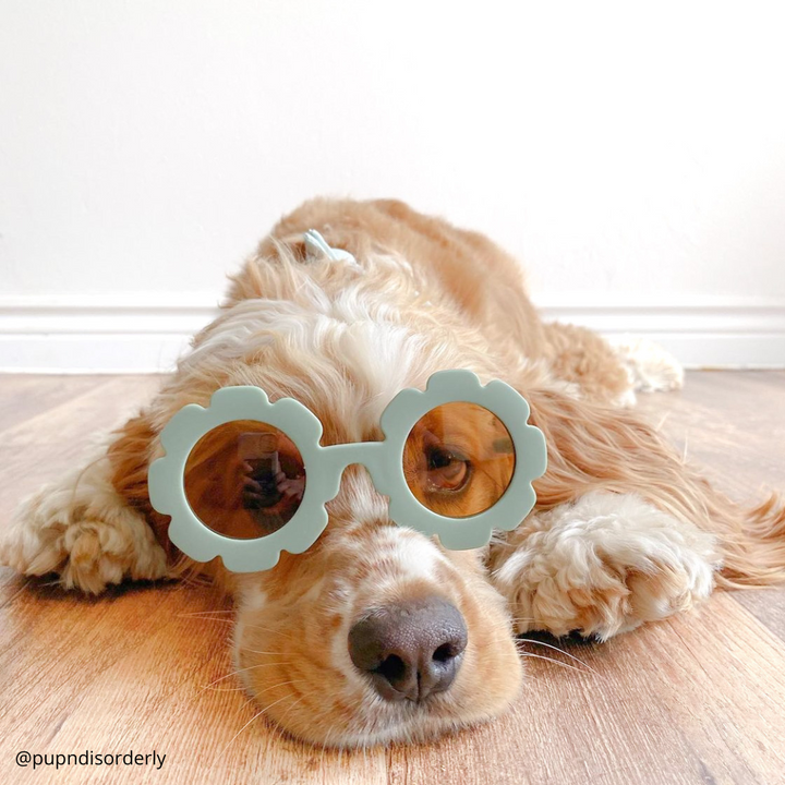 Flower Sunglasses