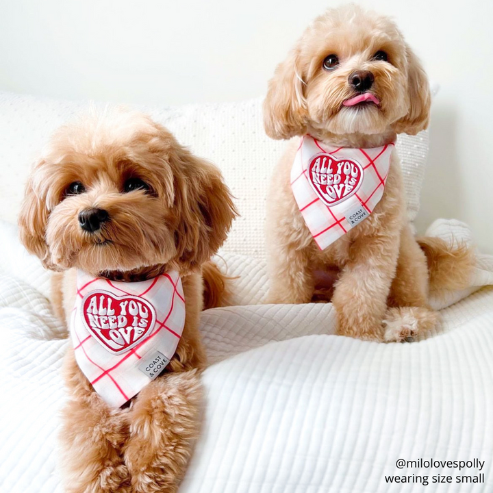 All You Need is Love Bandana