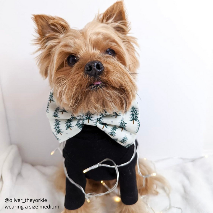 Frosted Forrest Bow Tie