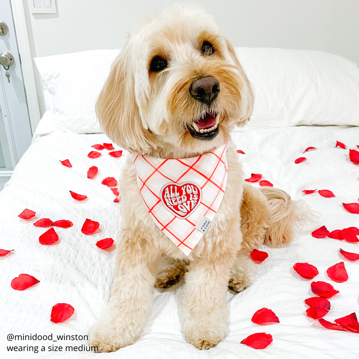 All You Need is Love Bandana