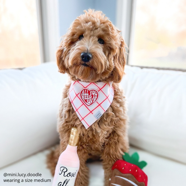 All You Need is Love Bandana