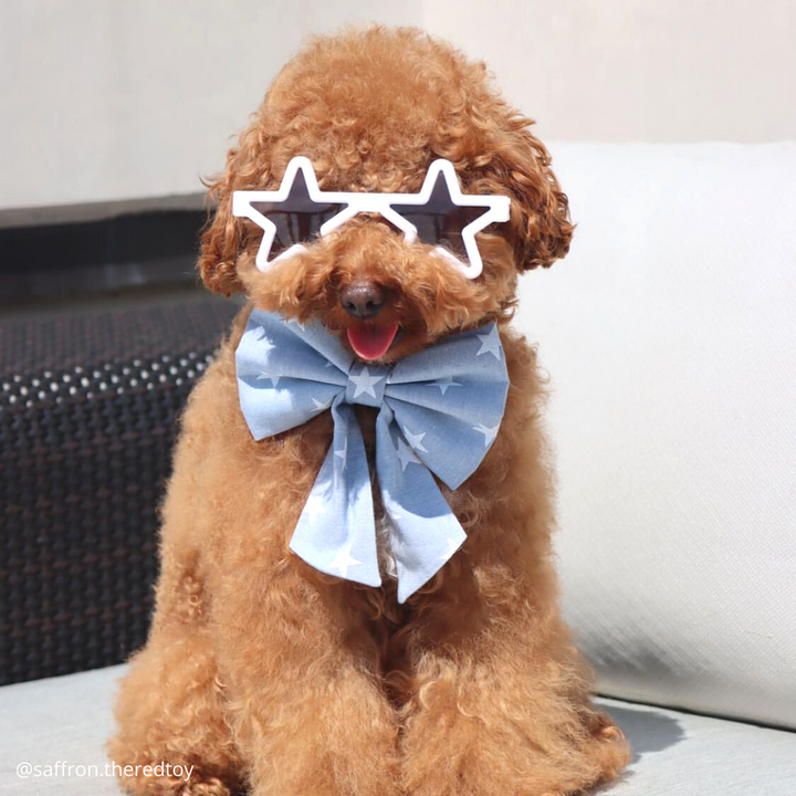 Patriotic Star Sunglasses