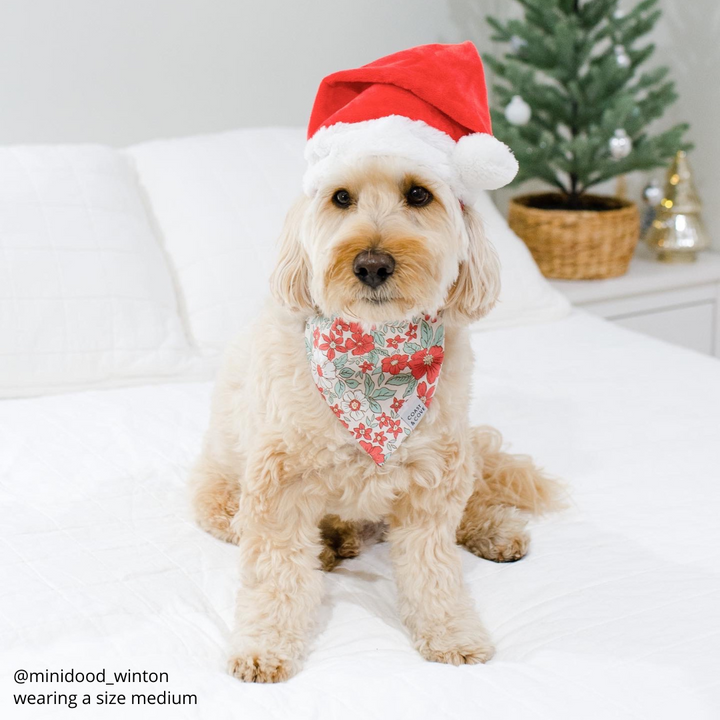 Christmas Floral Bandana